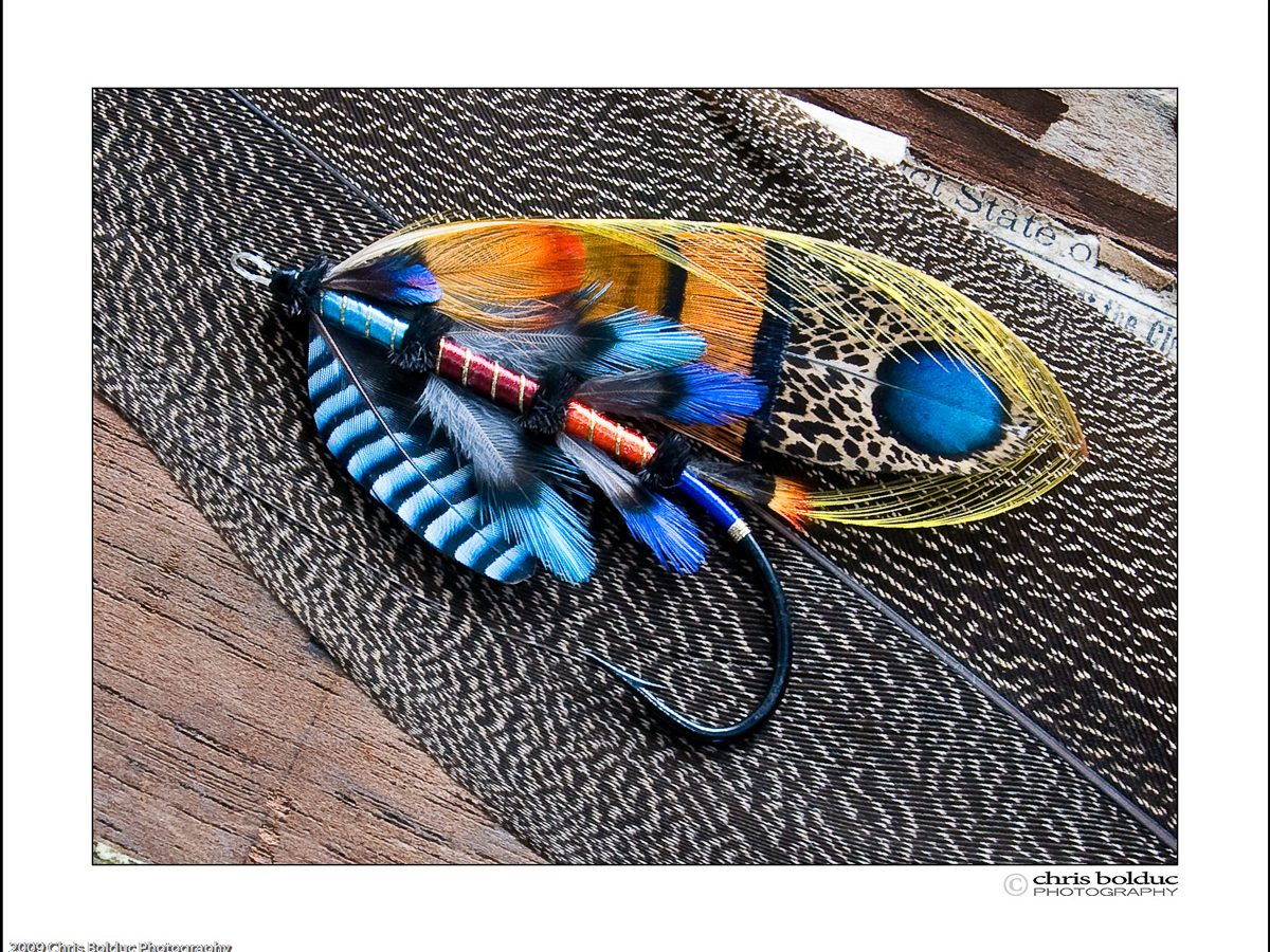 aura kingdom anglers fly fishing rod Orvis Clearwater Fly Rod Outfit 9'0"